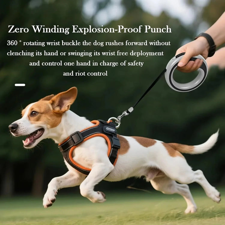 Pets Products