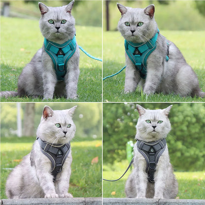 Dog Harness For Small Dog French Bulldog Pug Pitbull Puppy Pectoral Collar