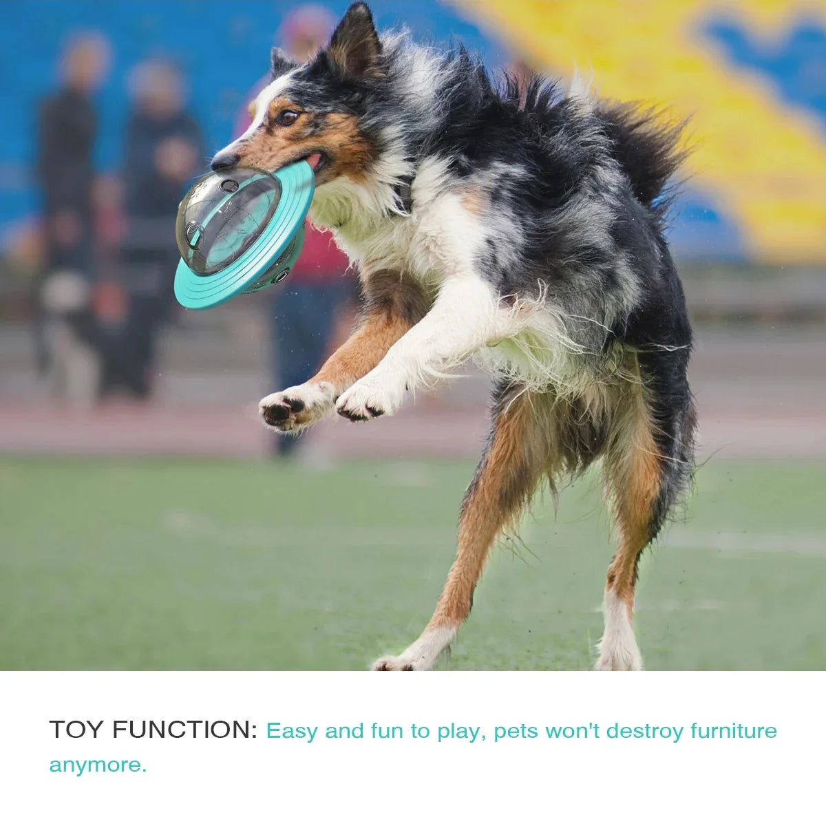 Multi-function Feeder Puppy Slow Feeder Interactive Cat Toy Dog Outdoor Training Toy