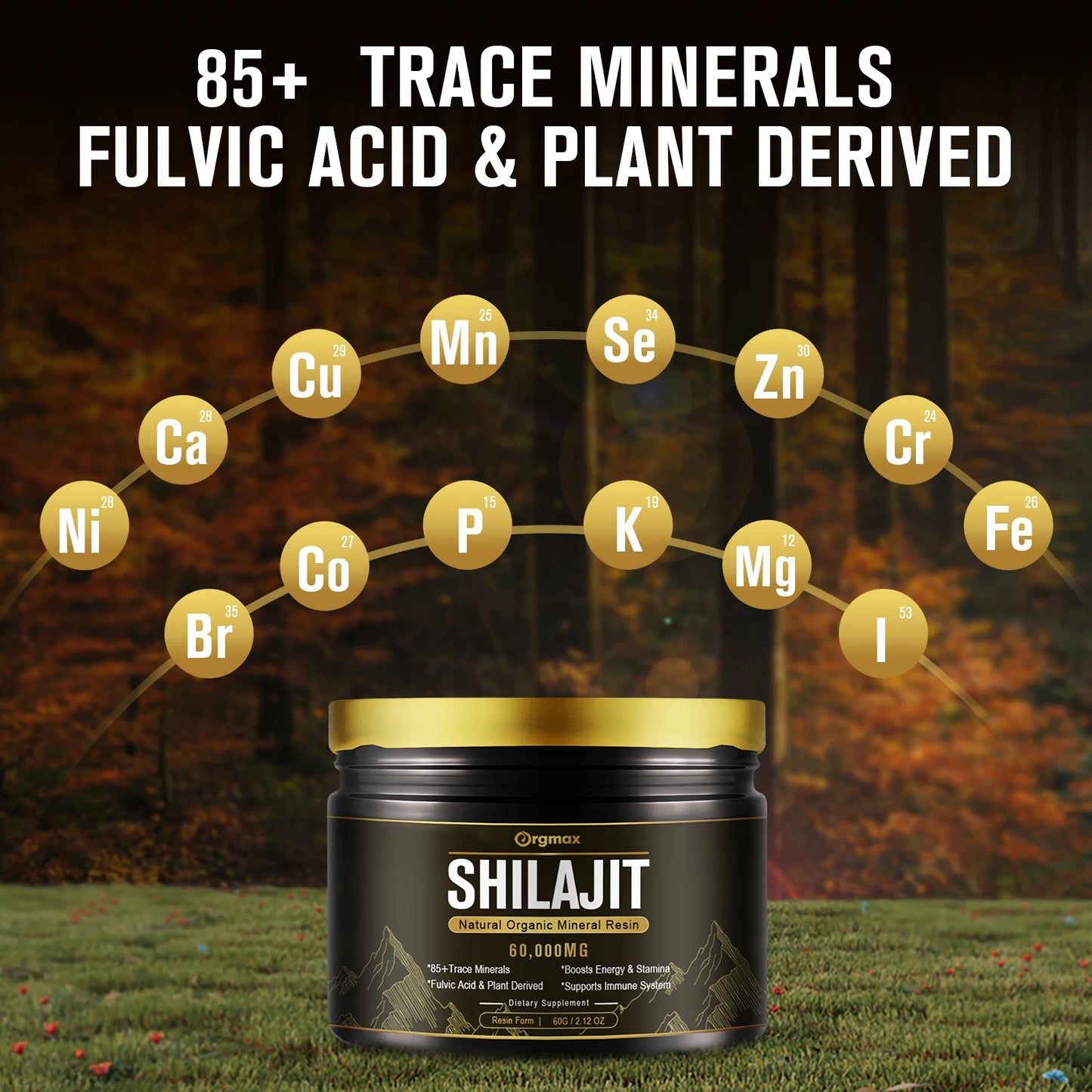 Himalaya Shilajit Resin Original