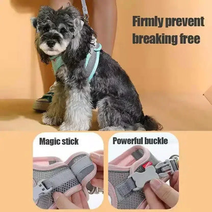 Cats Dog Accessories Small Dog Collar Safety Vest Pet Chest Rope Dogs Cover Breathable